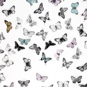 Meet your Posher, Alanis